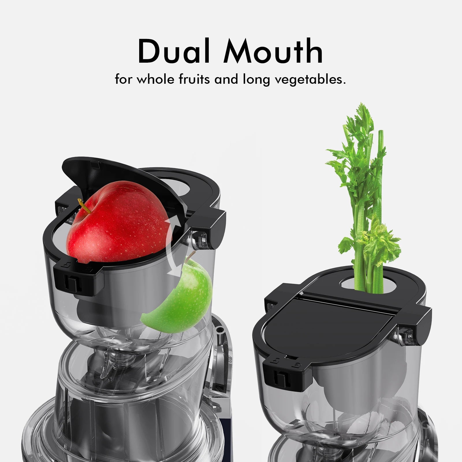 Cold Press Juicer Machine – 800ml Slow Masticating Extractor - ZILVUS