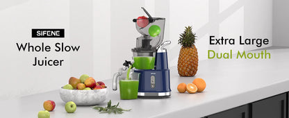Cold Press Juicer Machine – 800ml Slow Masticating Extractor - ZILVUS