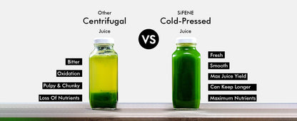 Cold Press Juicer Machine – 800ml Slow Masticating Extractor - ZILVUS