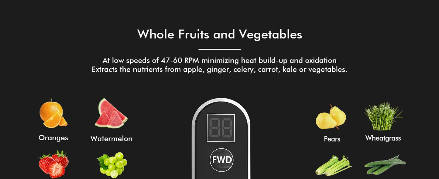 Cold Press Juicer Machine – 800ml Slow Masticating Extractor - ZILVUS